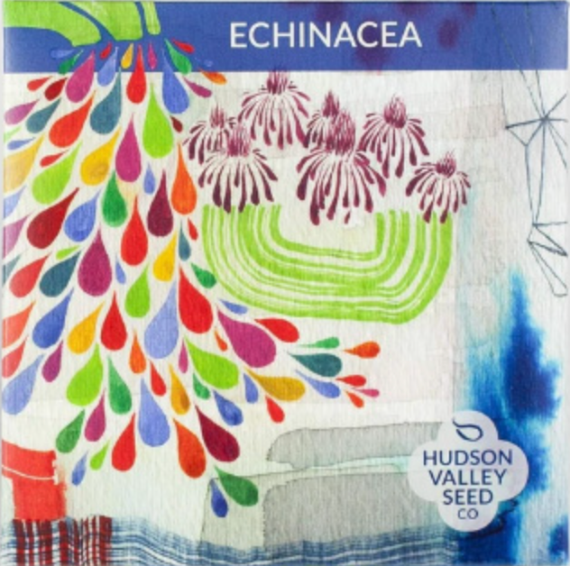 Echinacea Seeds