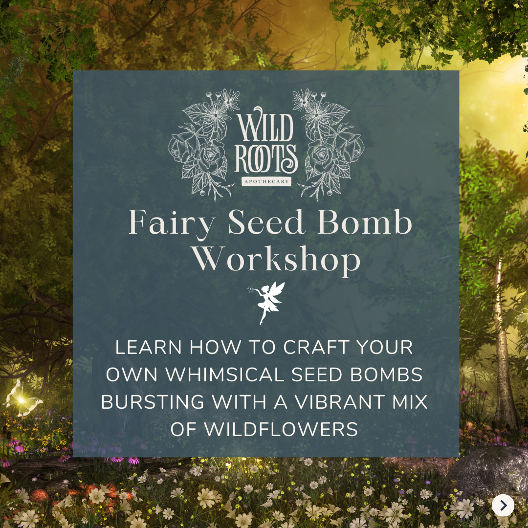 Community Gathering: FREE Fairy Seed Bomb Workshop