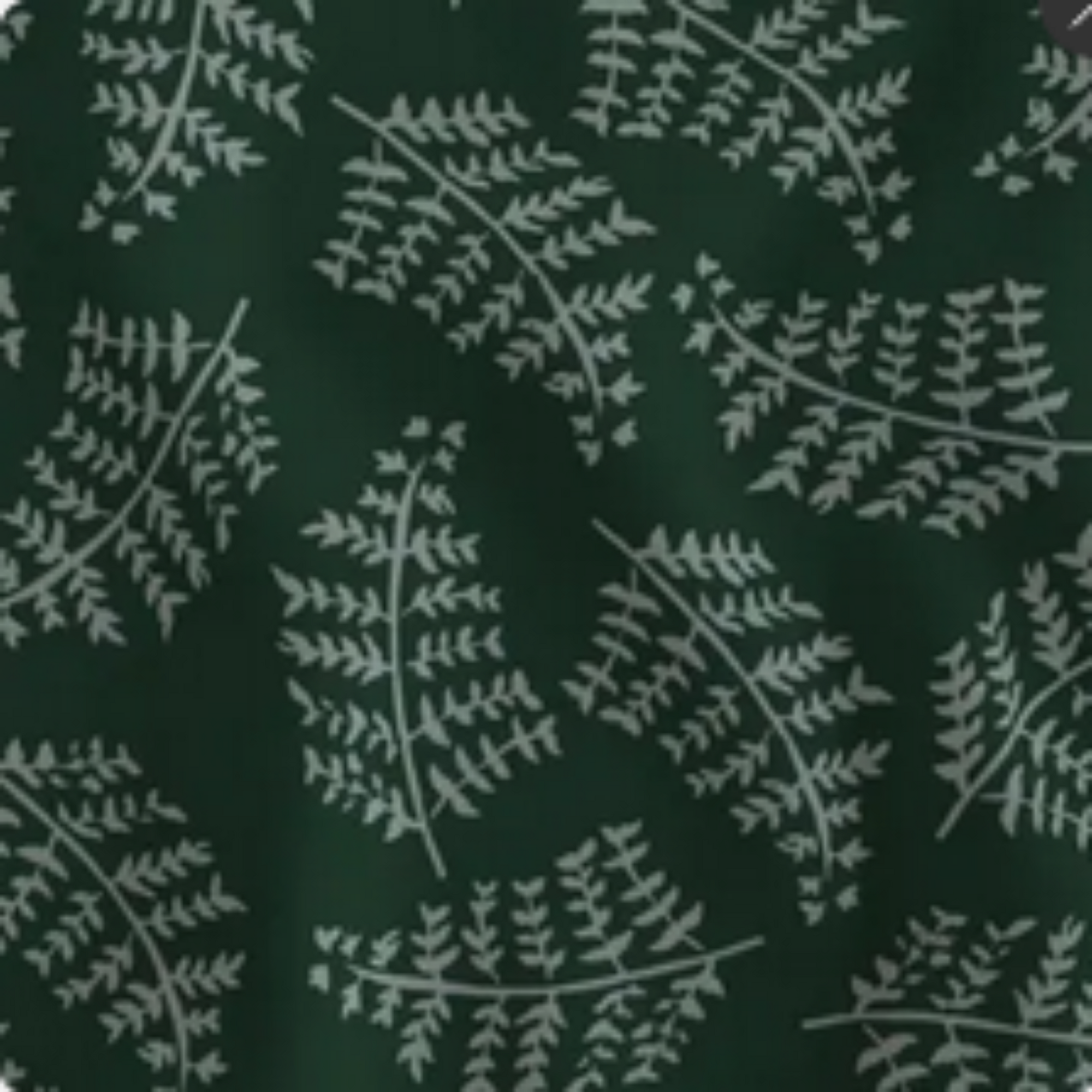 Fern Print