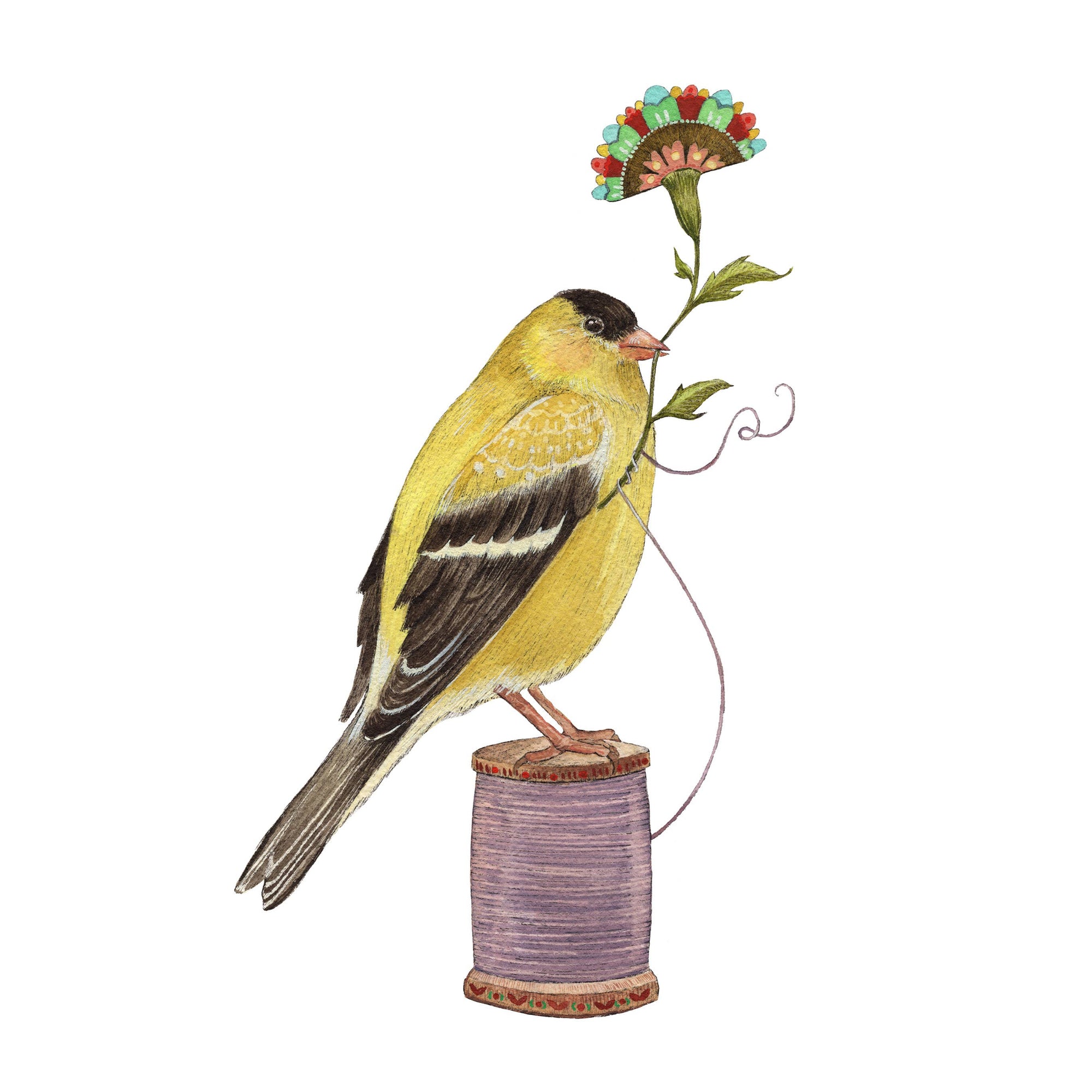 Floral Finch