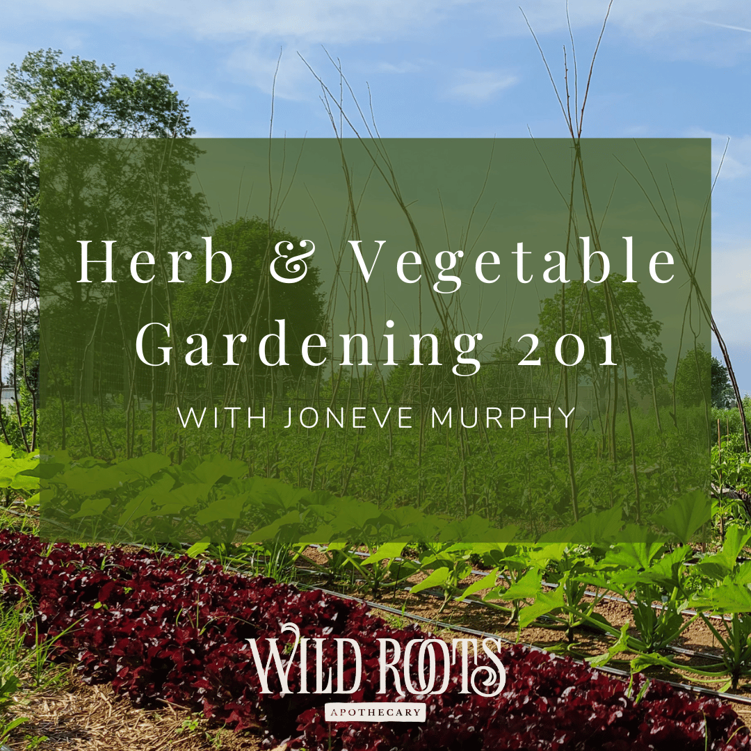 Vegetable &amp; Herb Gardening 201 with Joneve Murphy