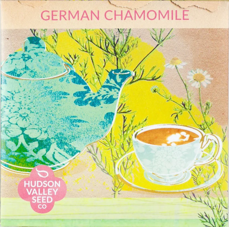 German Chamomile Seeds