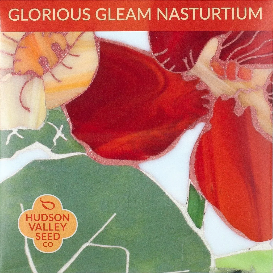 Glorious Gleam Nasturtium Seeds