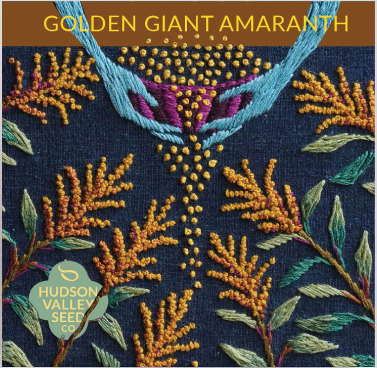 Golden Giant Amaranth Seeds