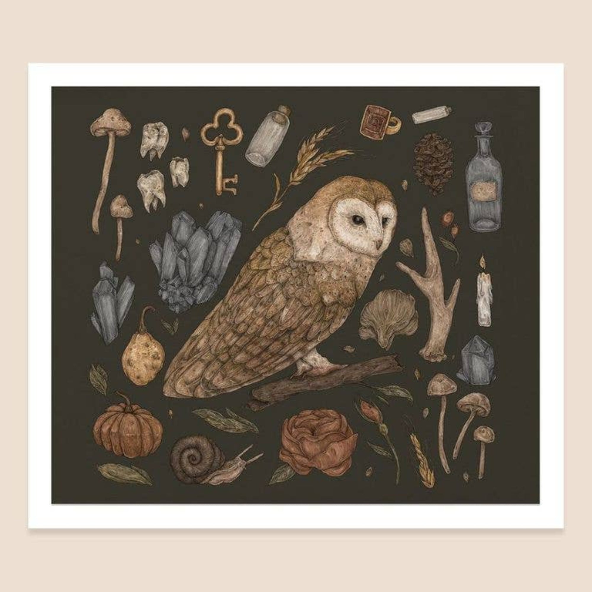 Harvest Owl Print (10.5” x 9”) 