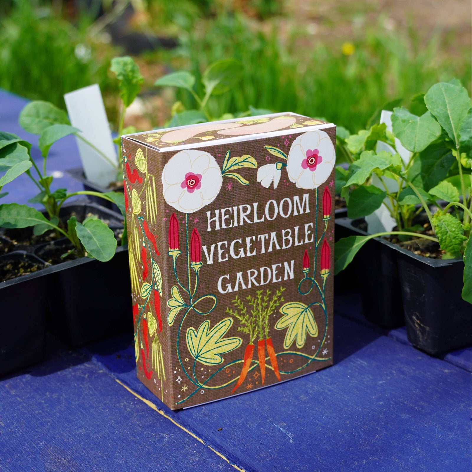 Heirloom Vegetable Garden Seed Collection Box