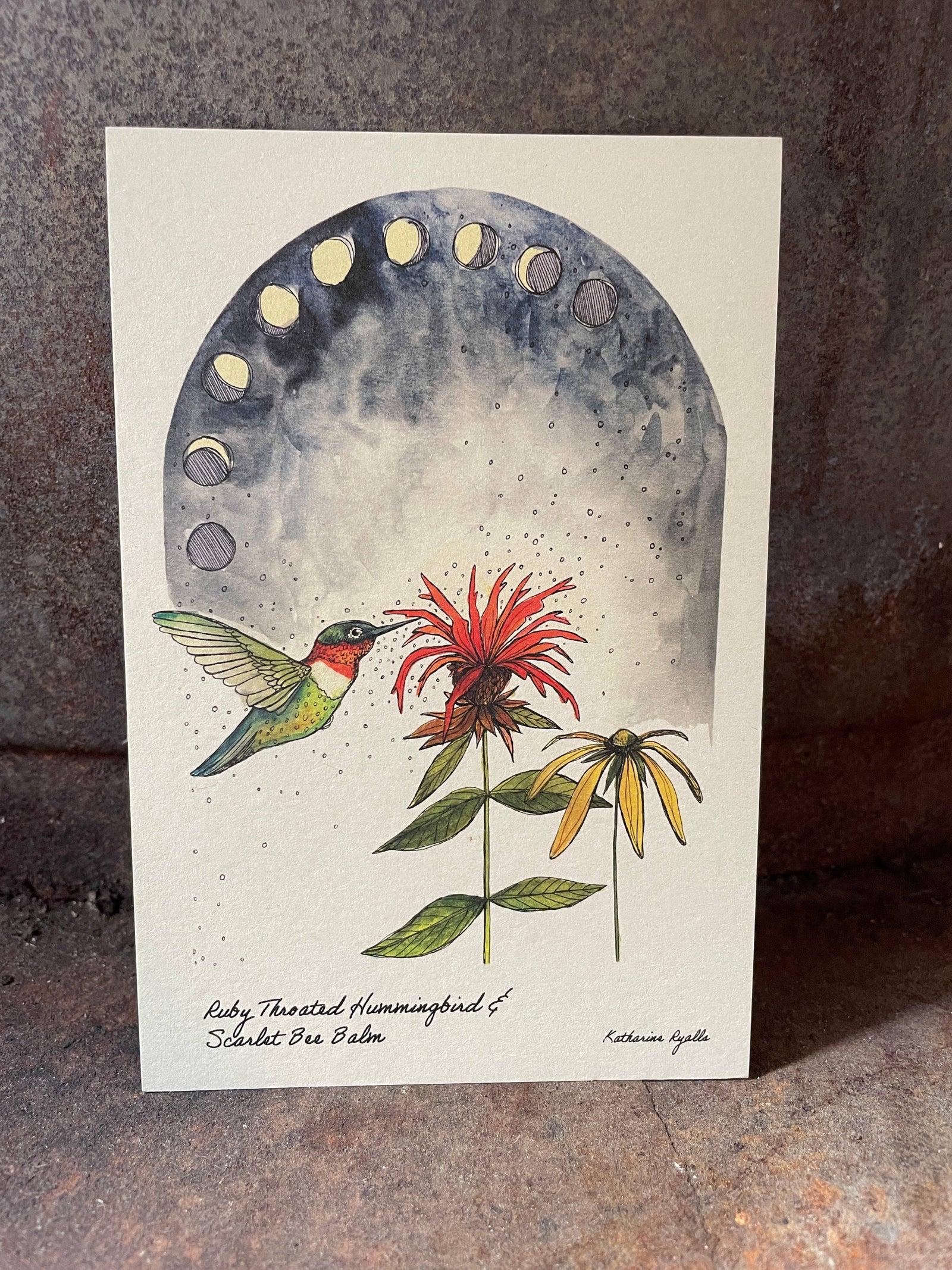Hummingbird and Bee Balm postcard