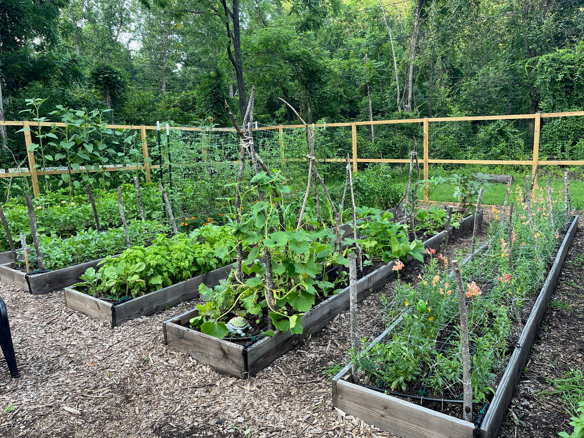 8/30 Market Garden Tour with Mason Flink
