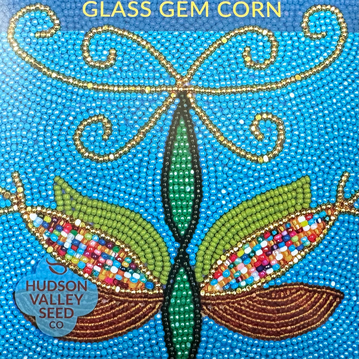Glass Gem Corn Seeds