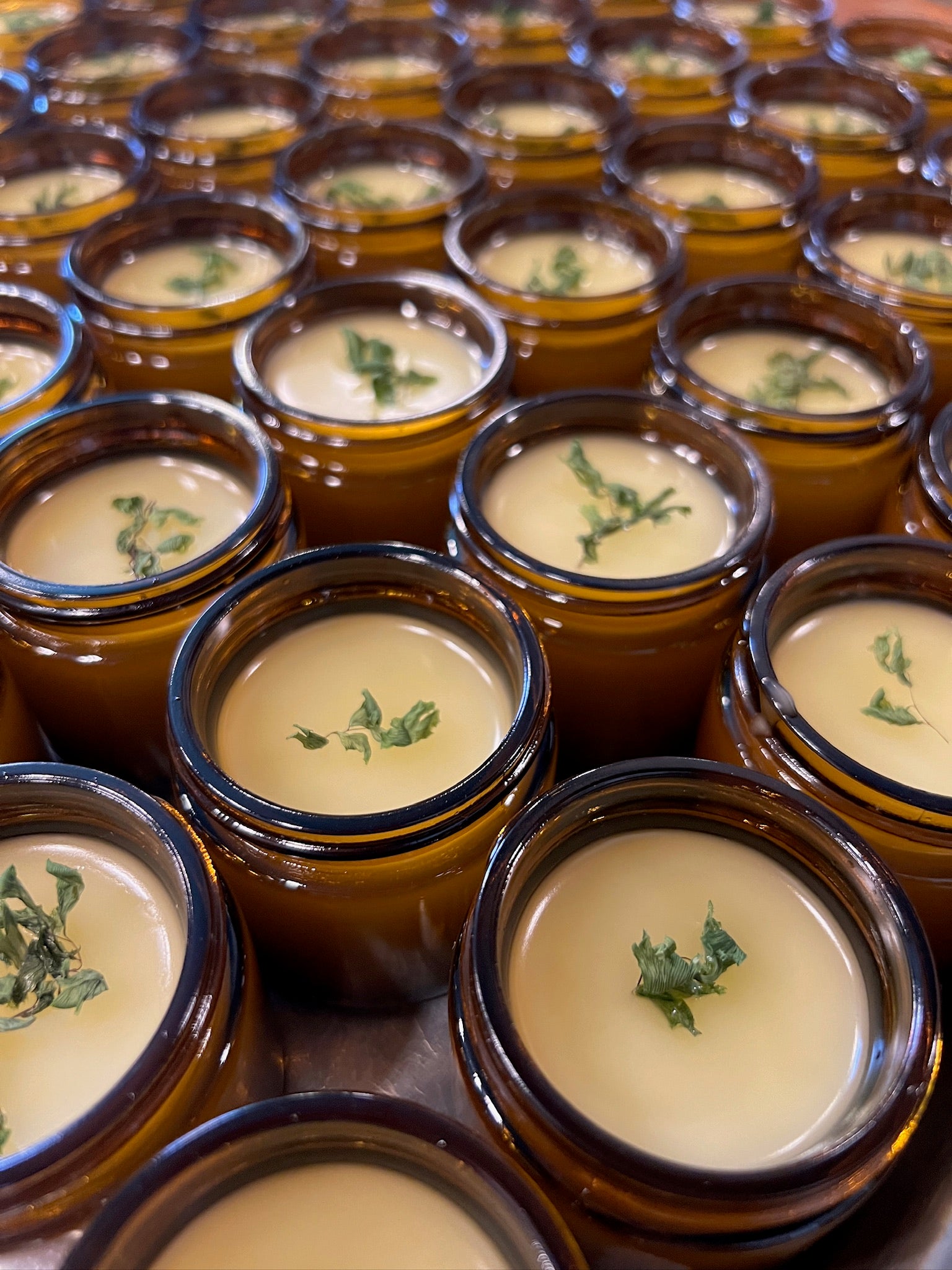 July- Herbal Body Care — Making Plant Medicine for Your Skin