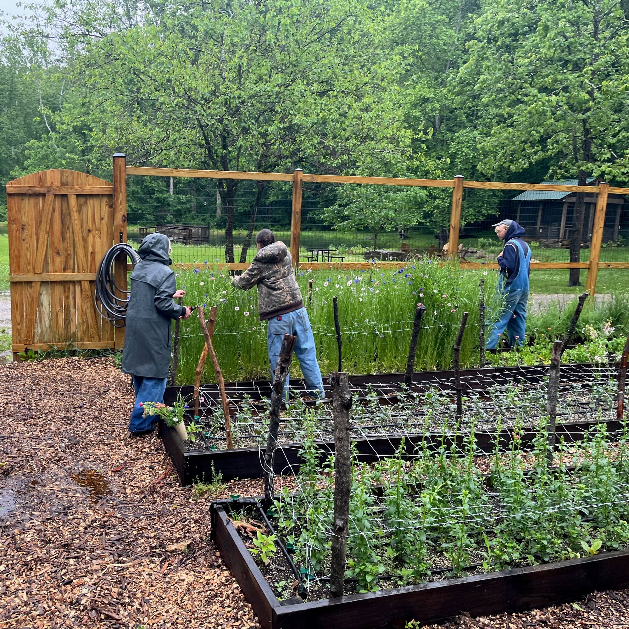 August Market Garden Tour with Man of the Flower