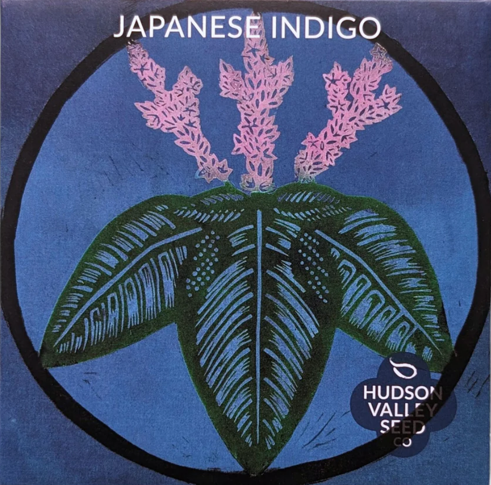 Japanese Indigo Seeds
