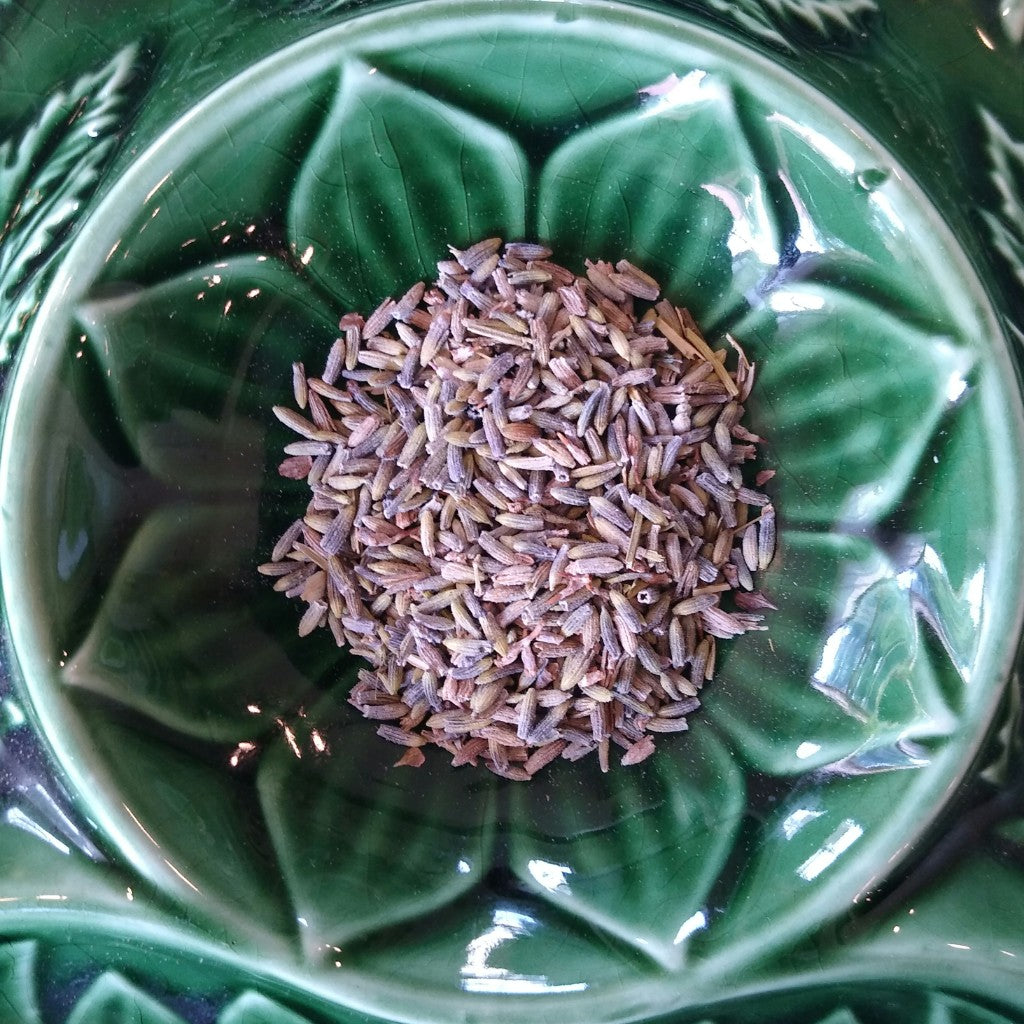 Lavender (Organic)