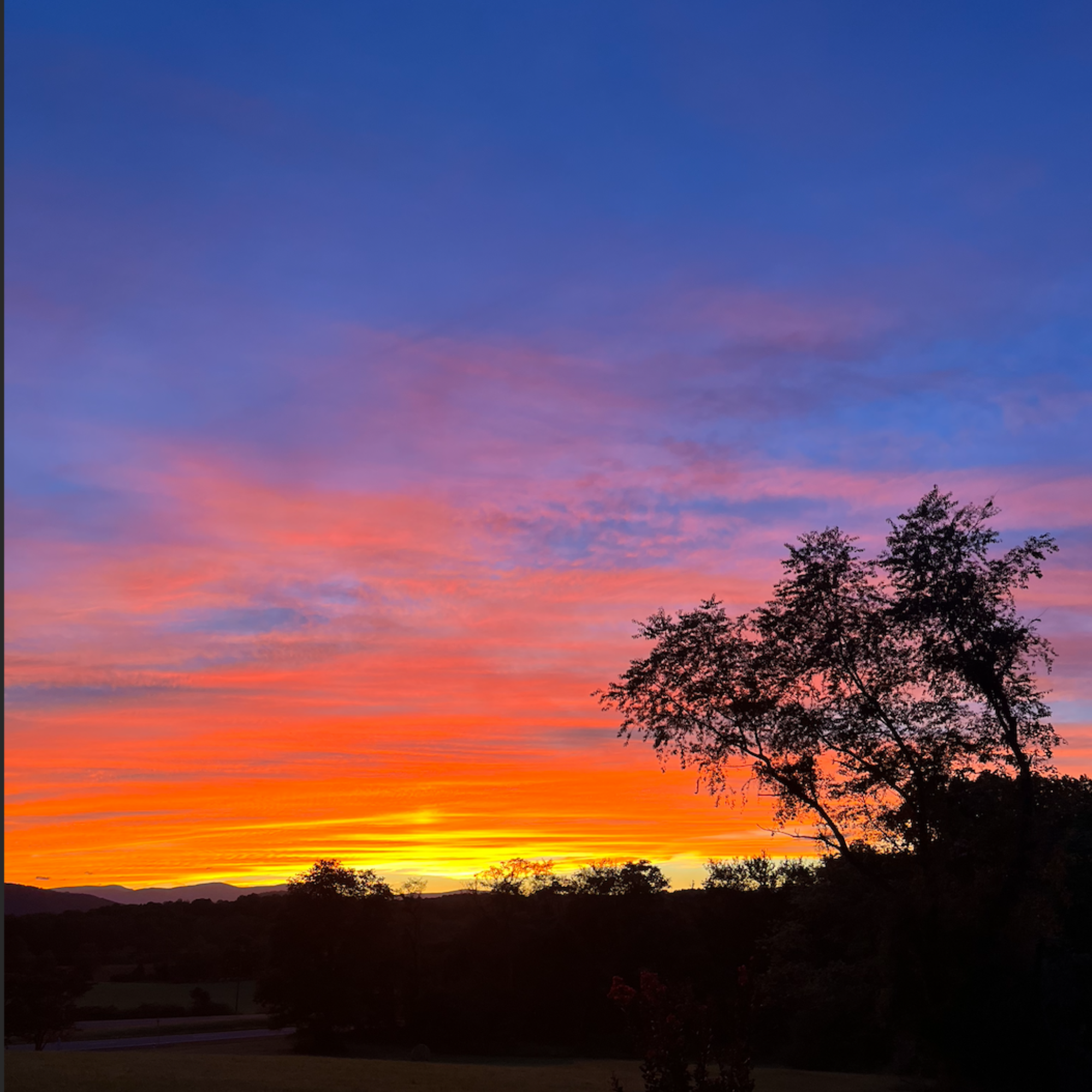 Summer Solstice Gathering: A Midsummer Gathering of Joy &amp; Celebration