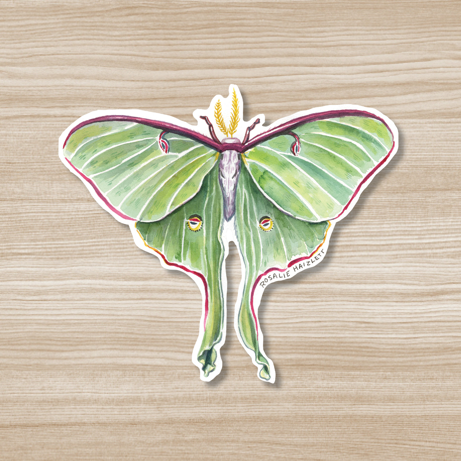 Luna_Moth_Waterproof_Vinyl_Sticker