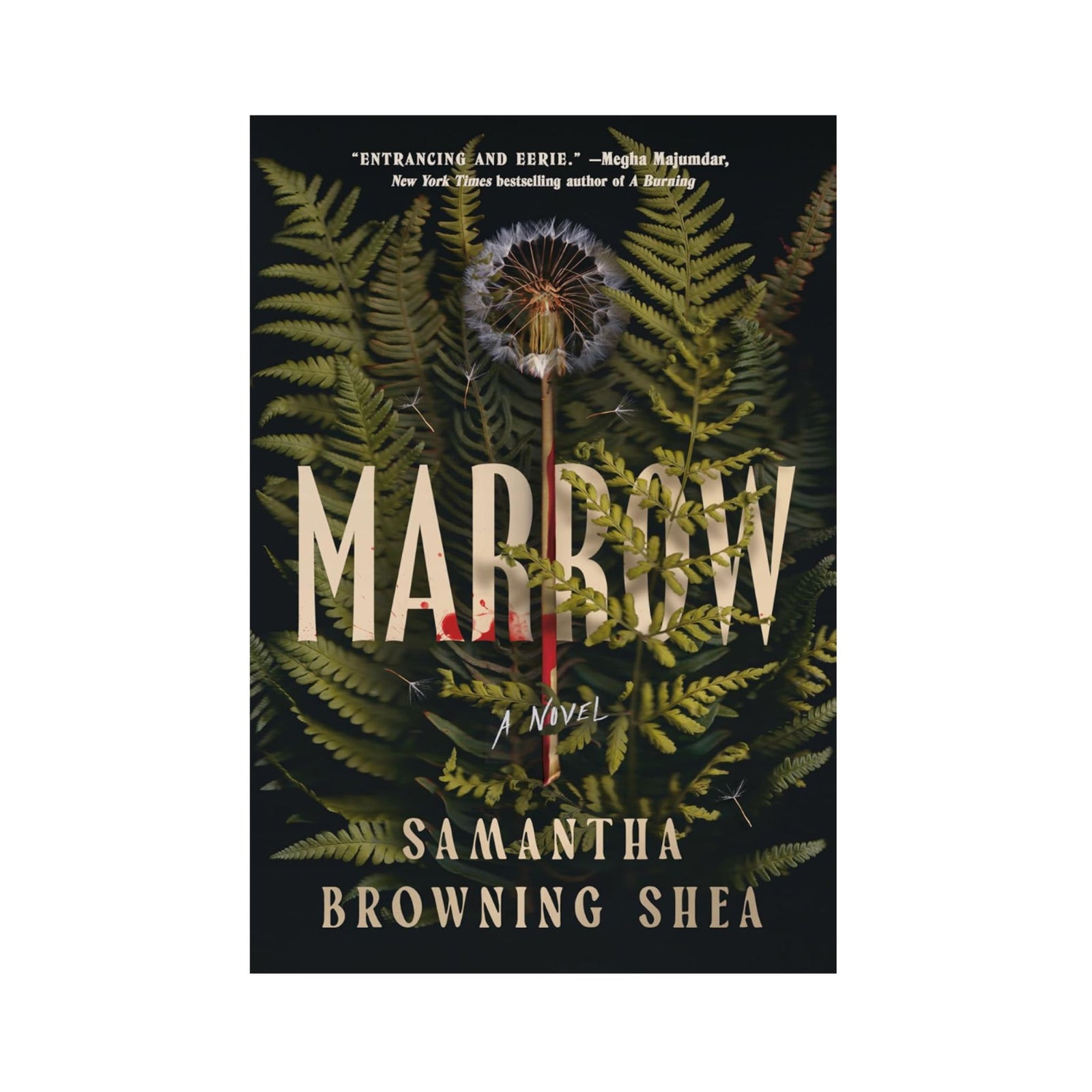 Marrow by Samantha Browning Shea