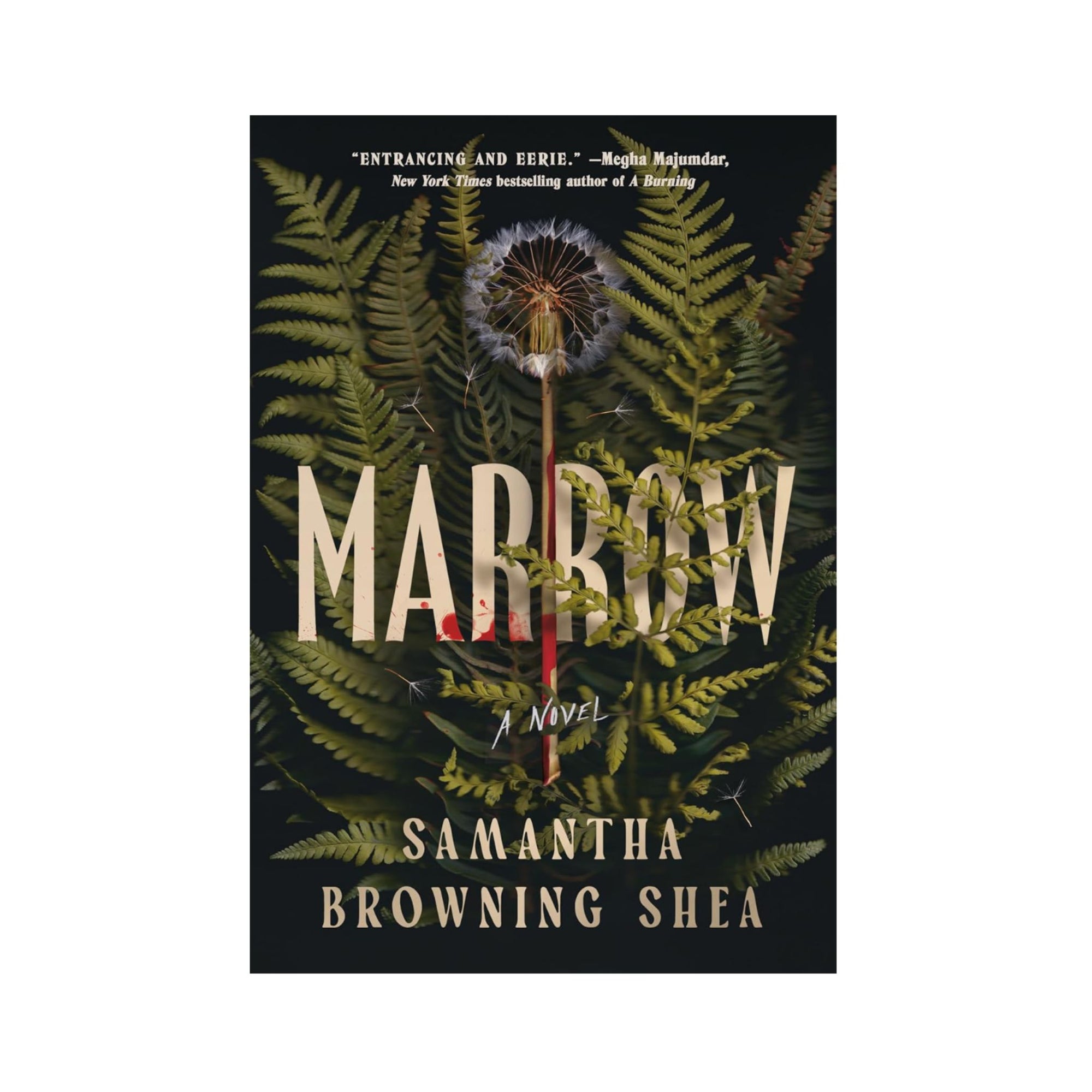 Marrow by Samantha Browning Shea