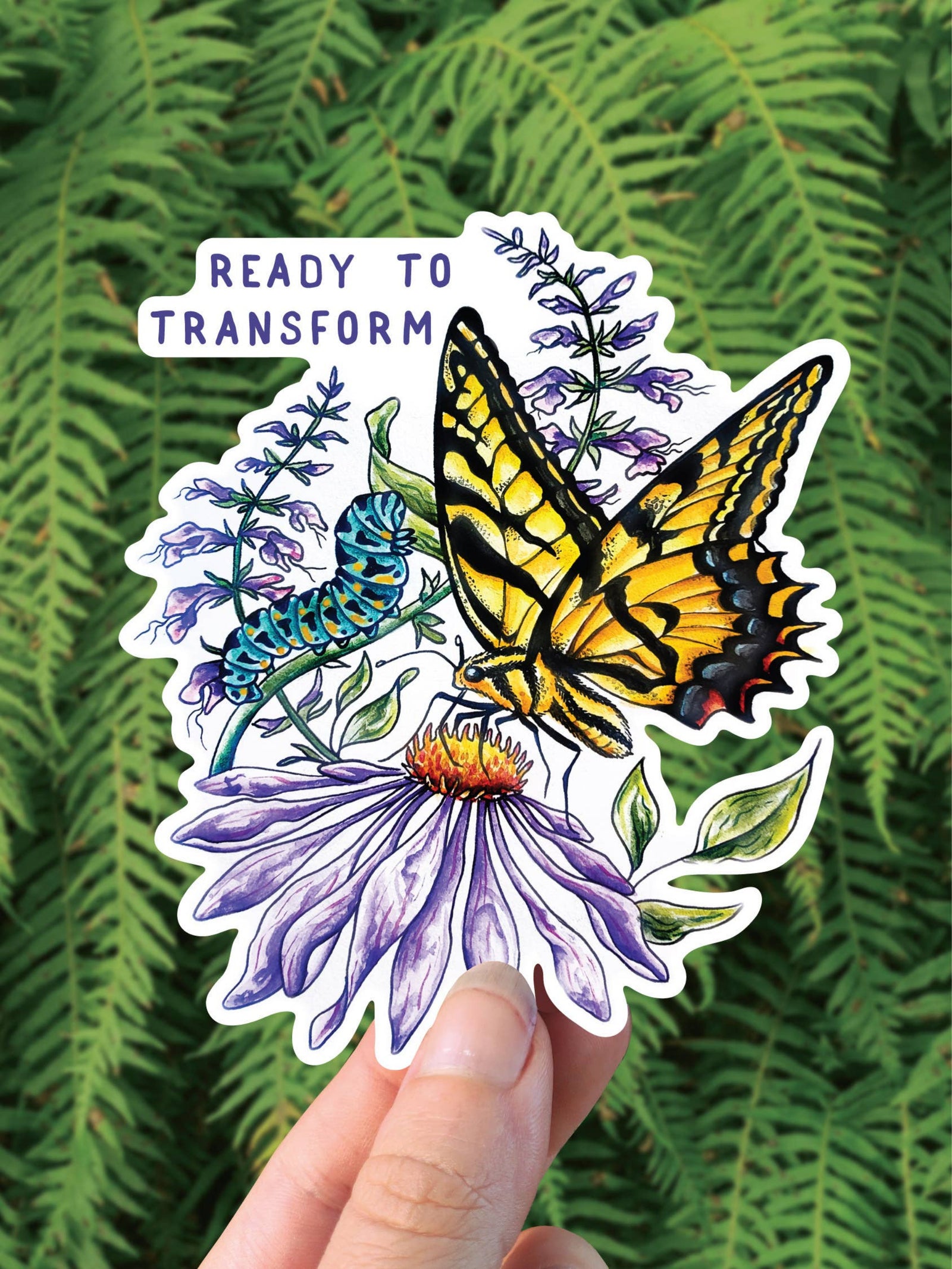 Metamorphosis - Vinyl Sticker - PNW Swallowtail Butterfly