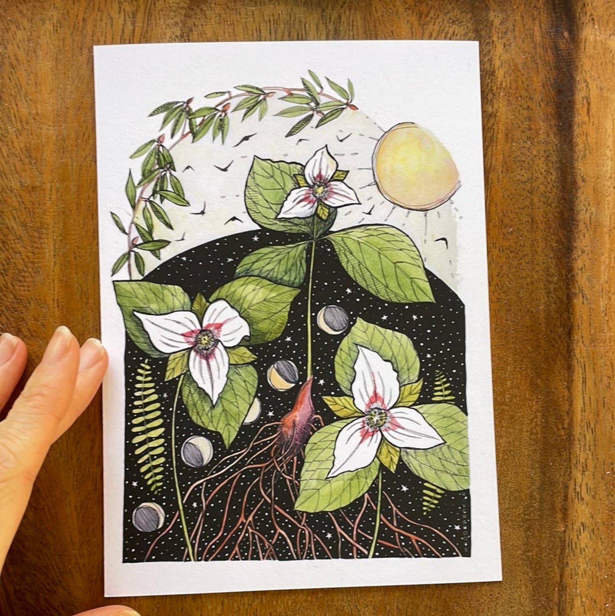 Midnight Trillium Print 5x7