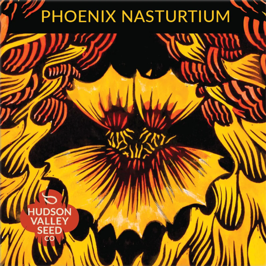 Phoenix Nasturtium Seeds