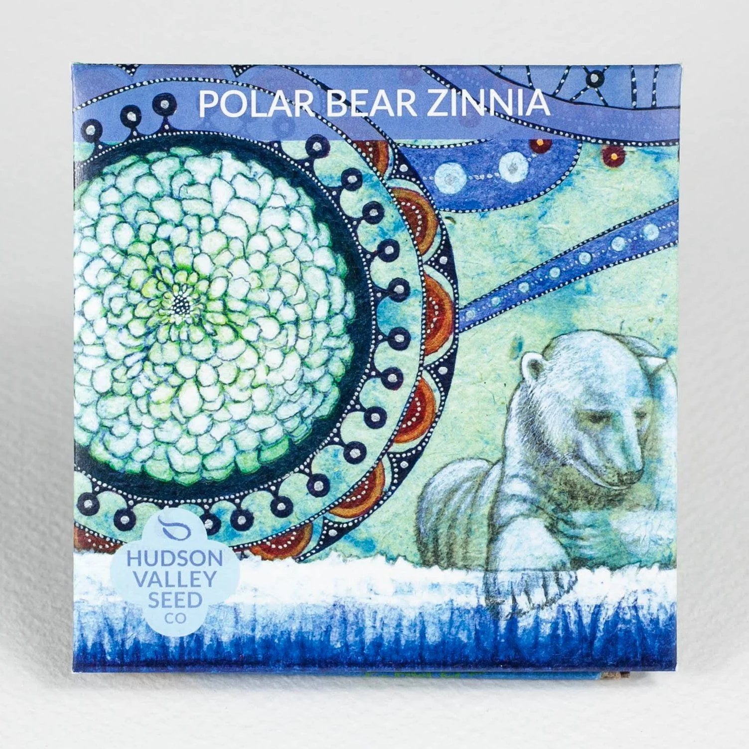 Polar Bear Zinnia