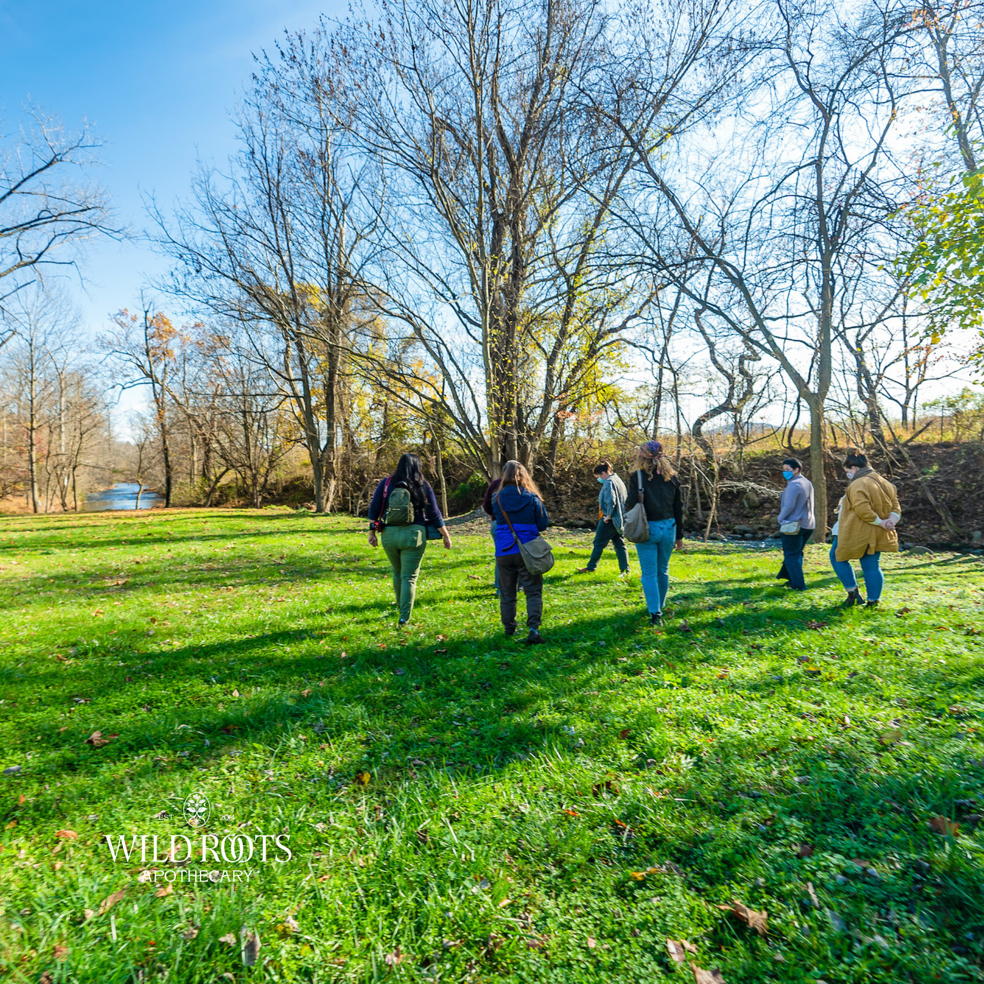 June 6th Wild &amp; Weedy Plant ID and Nature Walk with Colleen