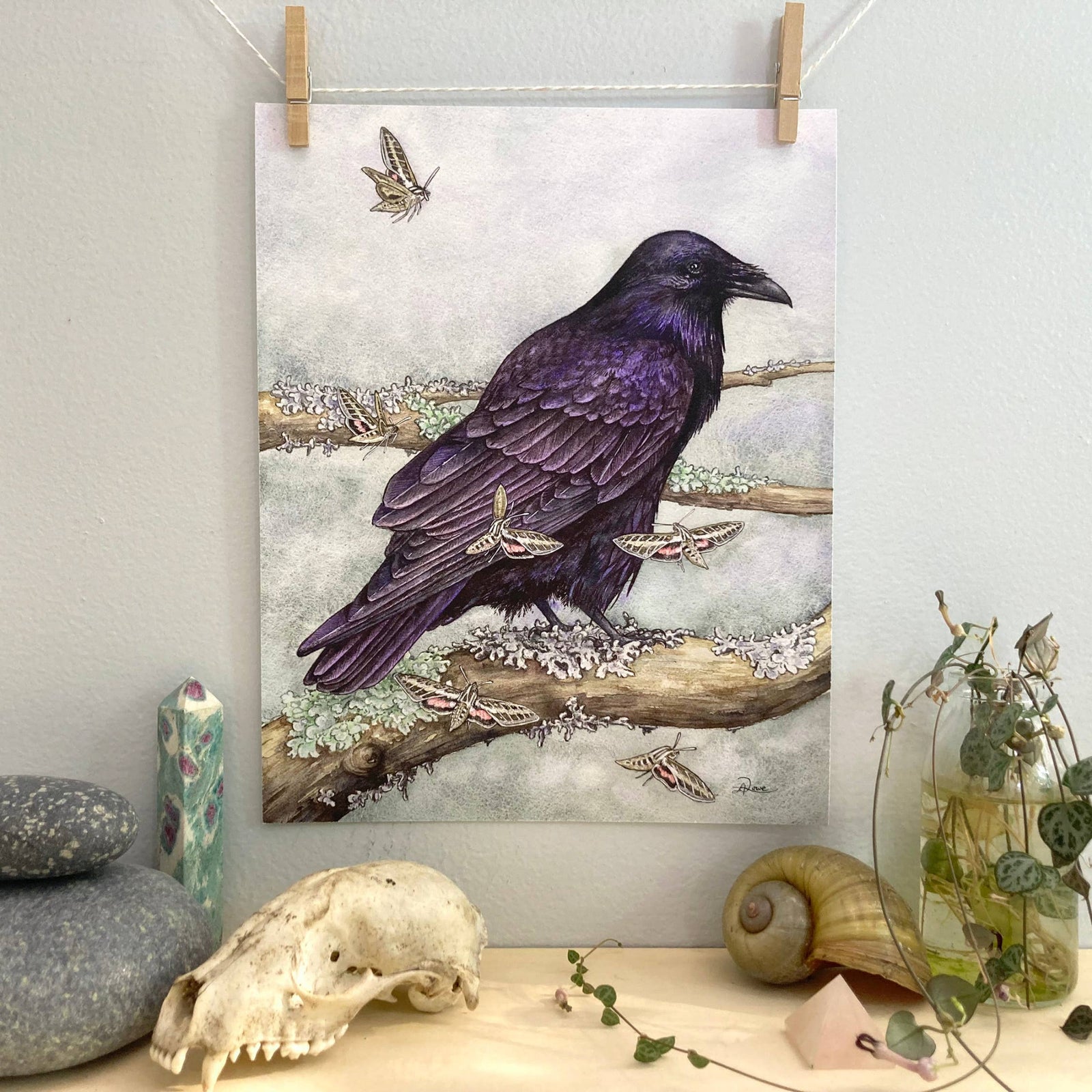 Raven with Moths Giclee Print
