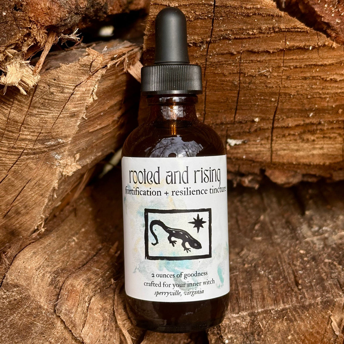 Winter Seasonal Navigator's Toolkit: Rituals, Remedies & Astrological Wisdom