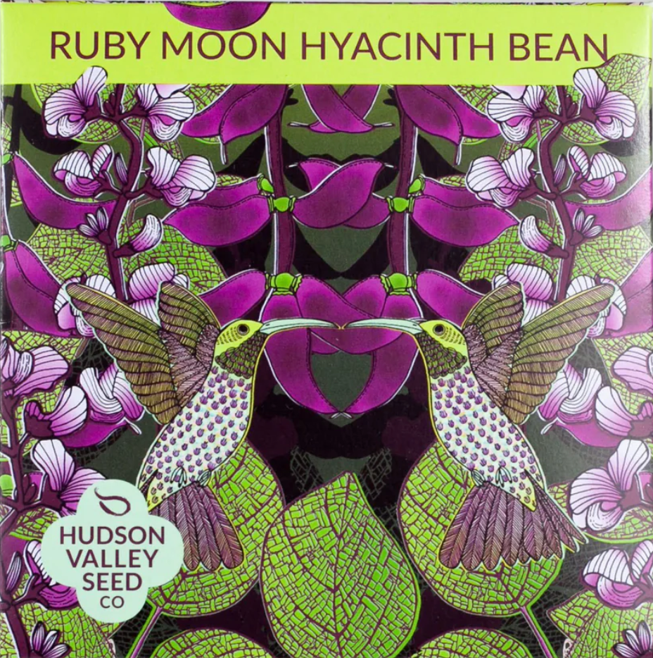 Ruby Moon Hyacinth Bean Seeds