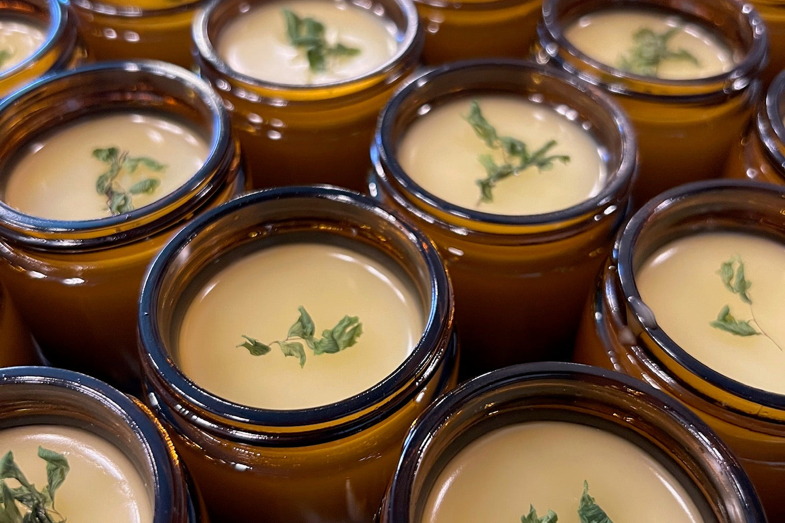 jars of fresh salve
