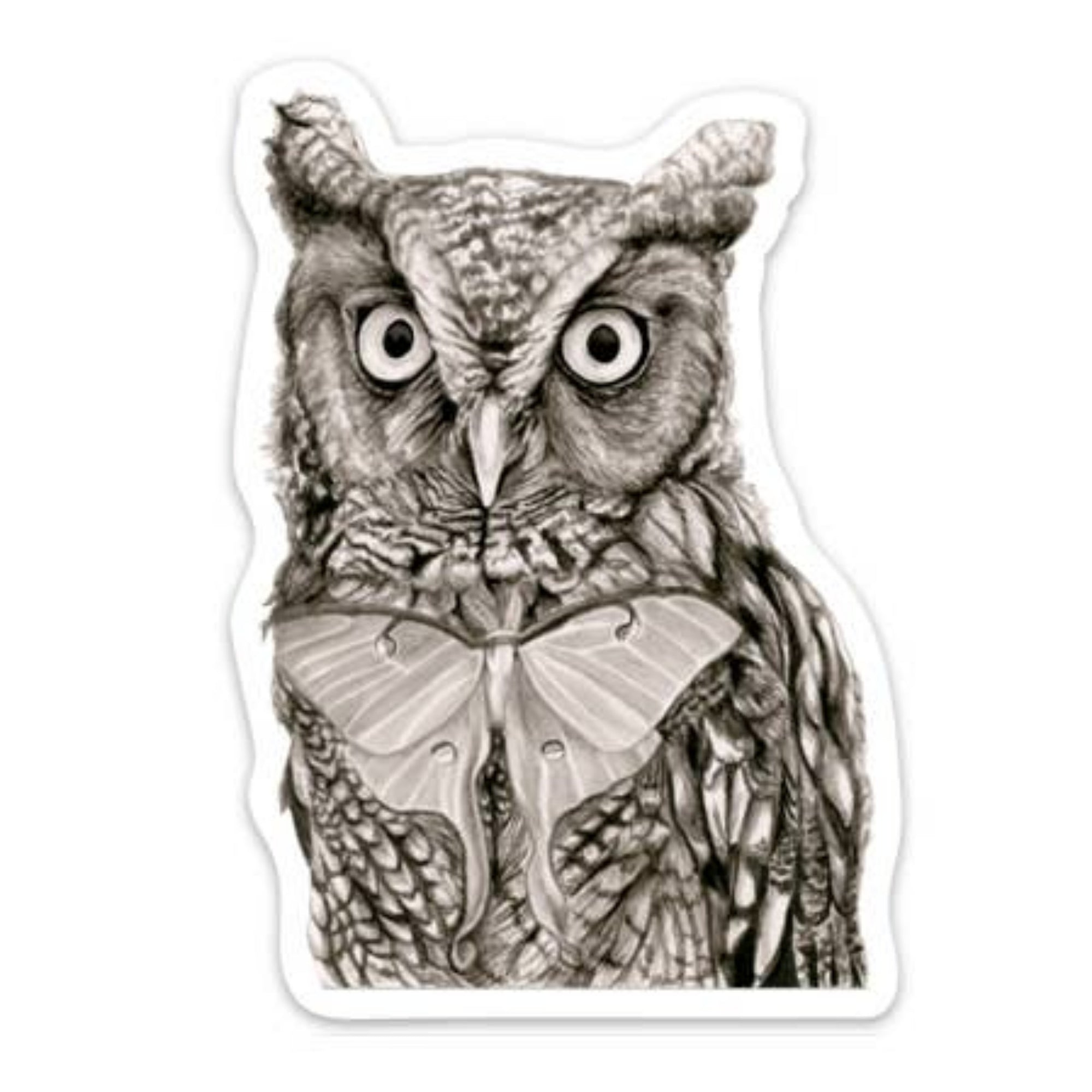Screech Owl Sticker