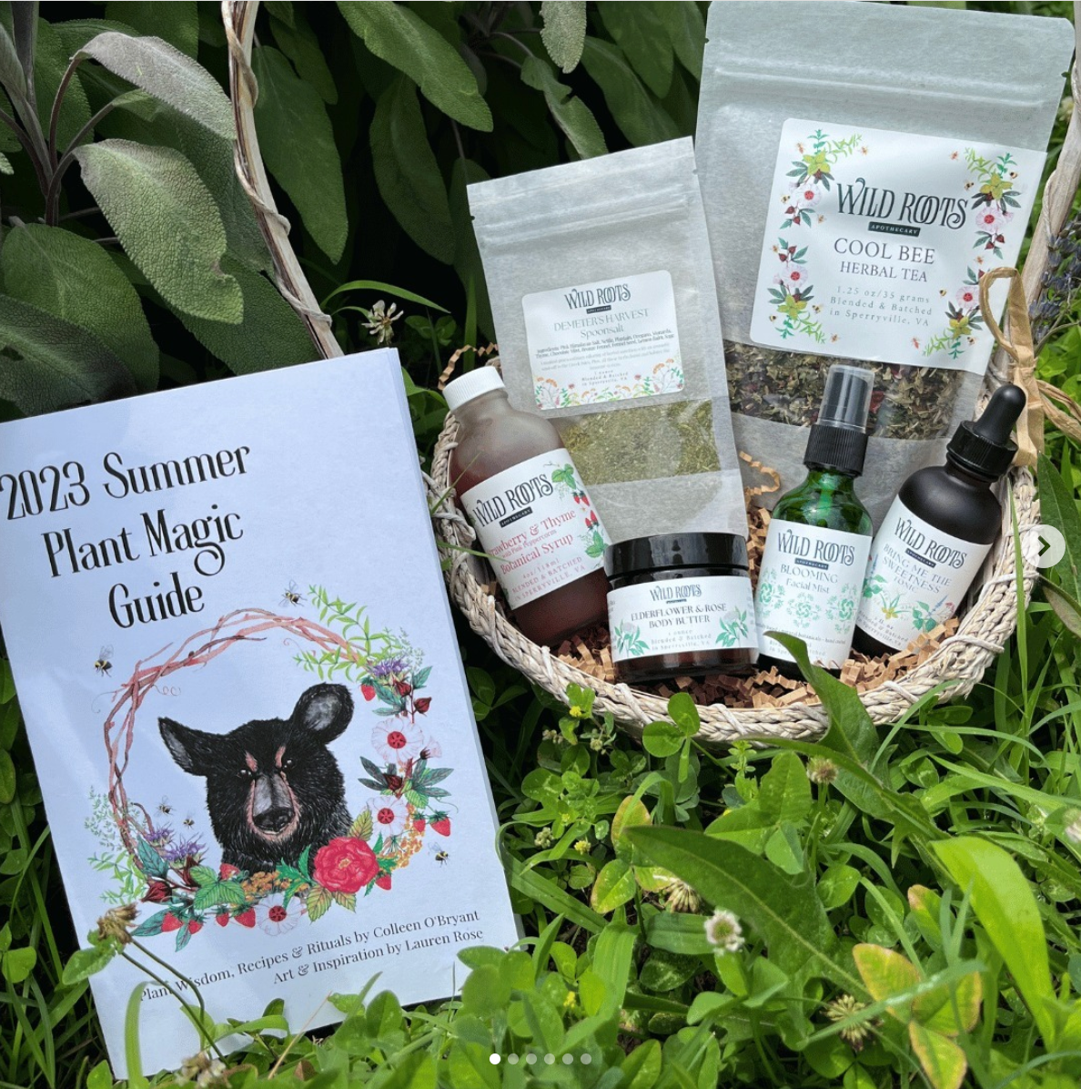 Wild + Rooted Collective: Quarterly Summer Box (Ships early July)