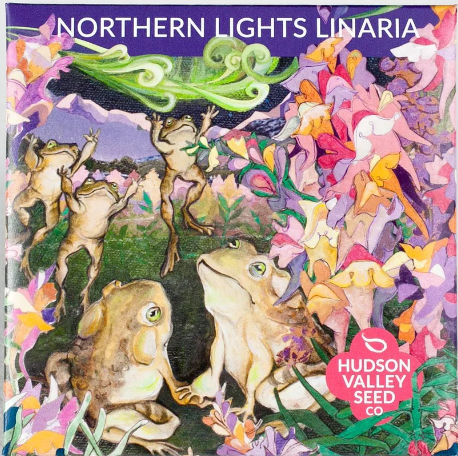 Northern-Lights-Linaria