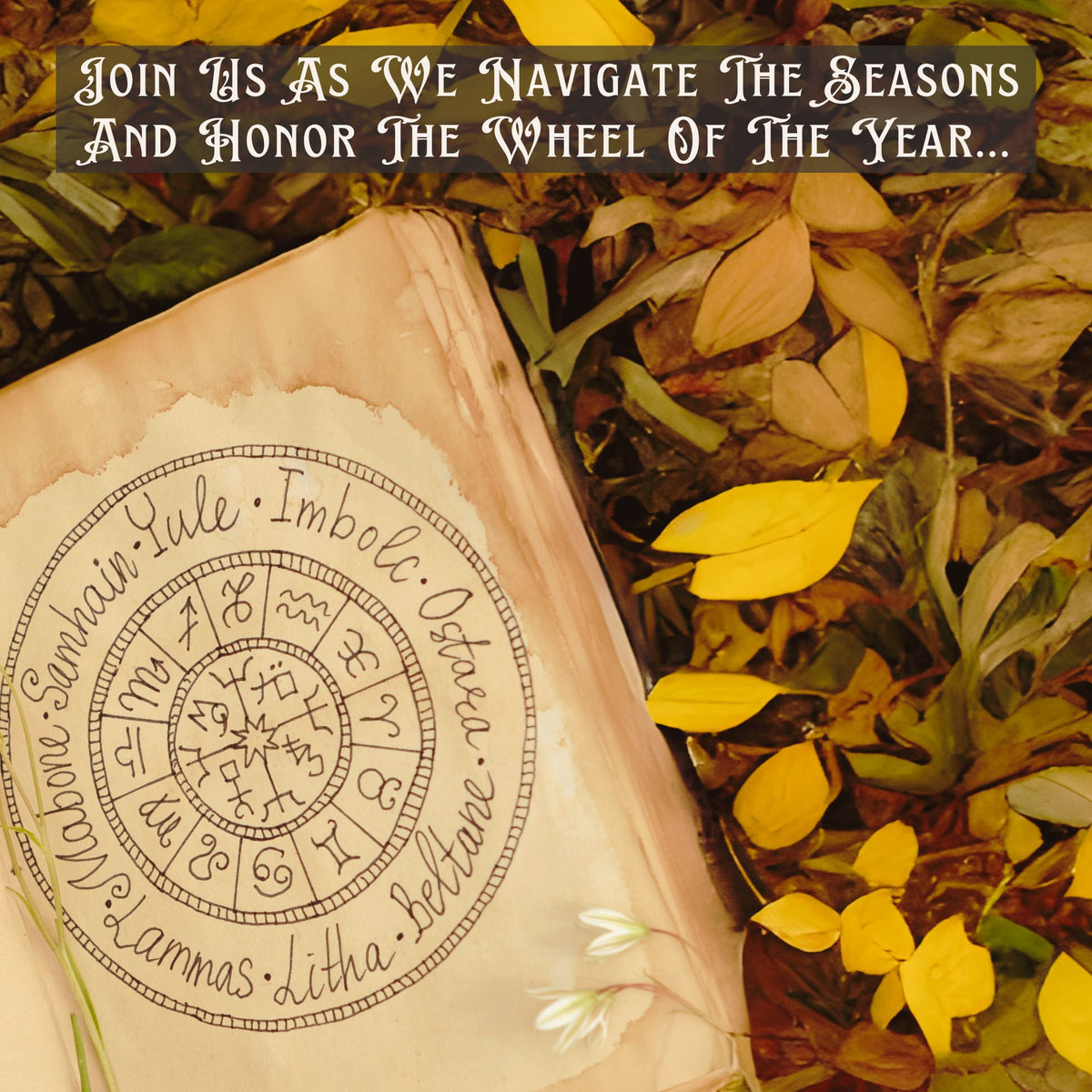 Autumn Seasonal Navigator&#39;s Toolkit: Rituals, Remedies &amp; Astrological Wisdom  (Quarterly Subscription or Individual Purchase)