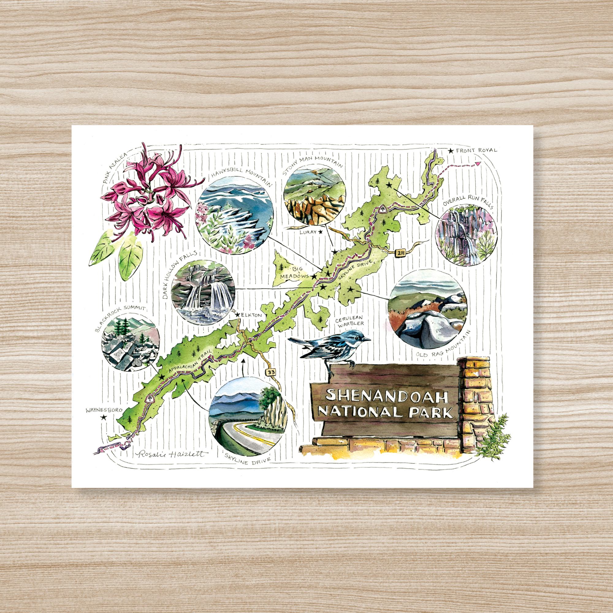 Shenandoah National Park Illustrated Map Art Print by Rosalie Haizlett