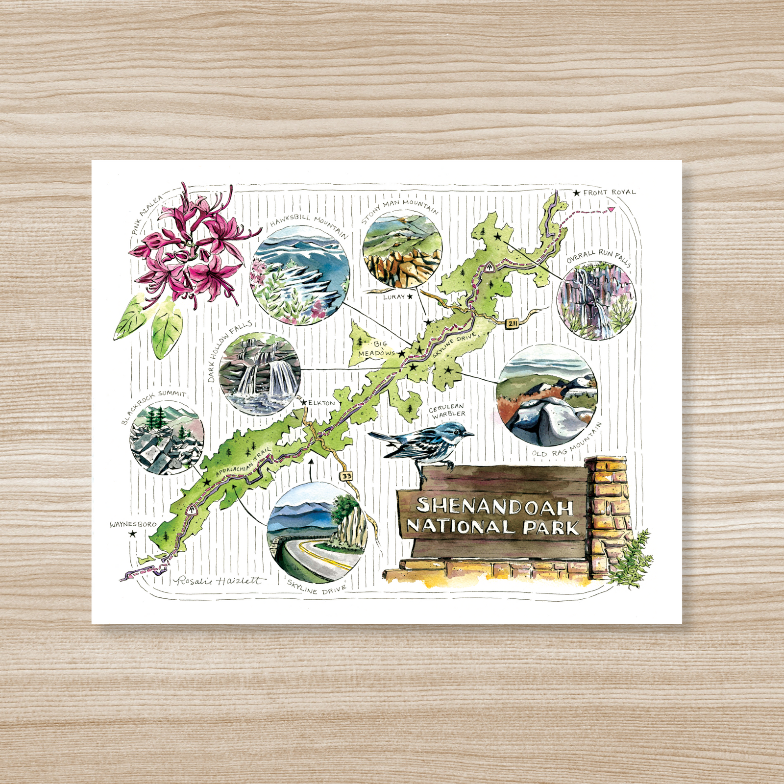 Shenandoah National Park Illustrated Map Art Print by Rosalie Haizlett