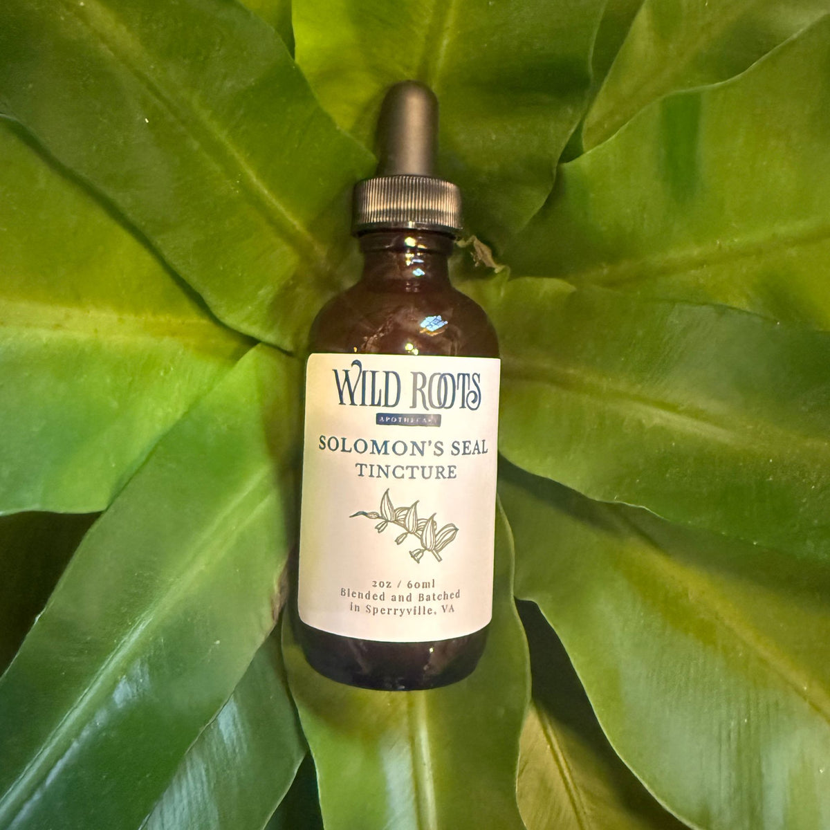 Solomon's Seal Tincture