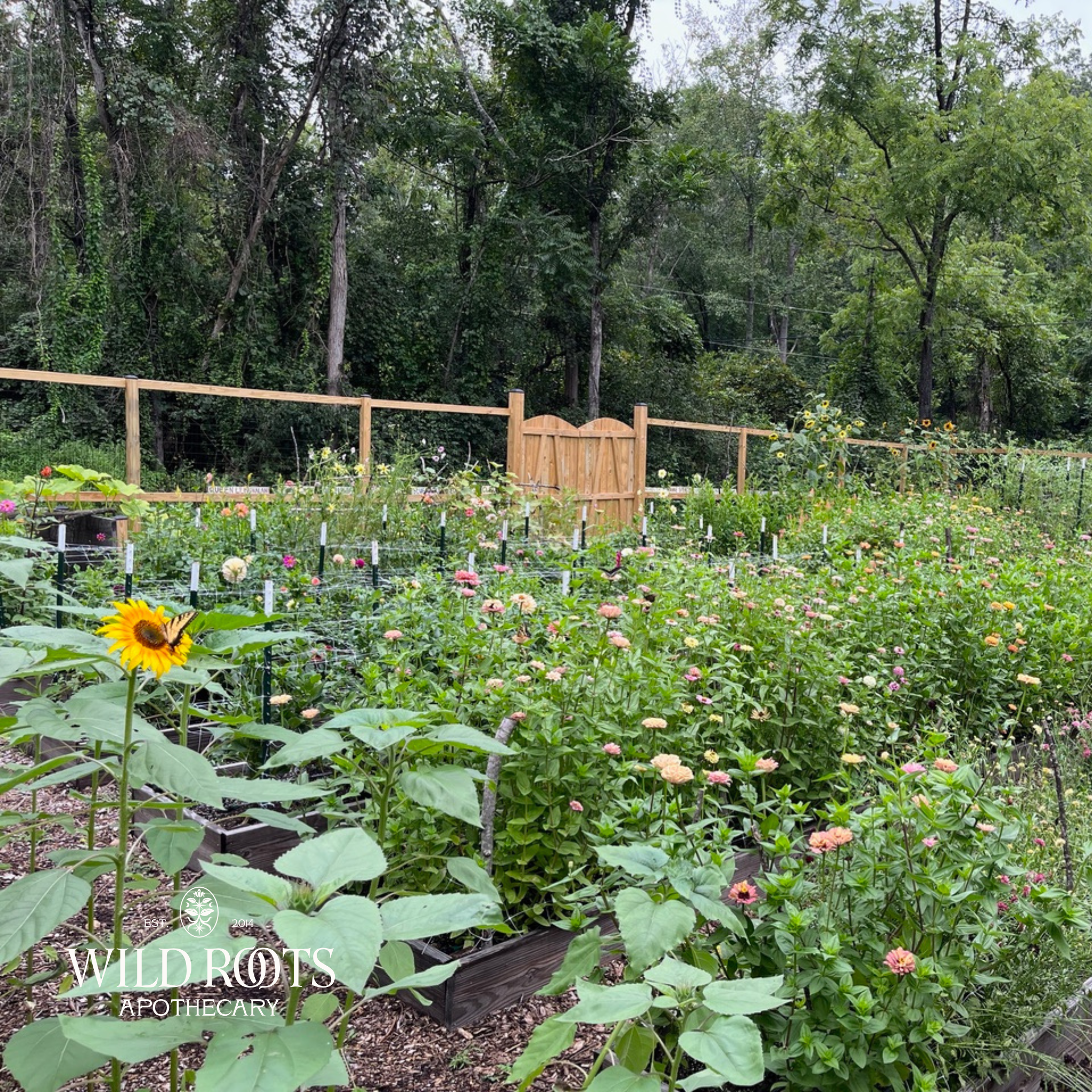 August Garden Tour