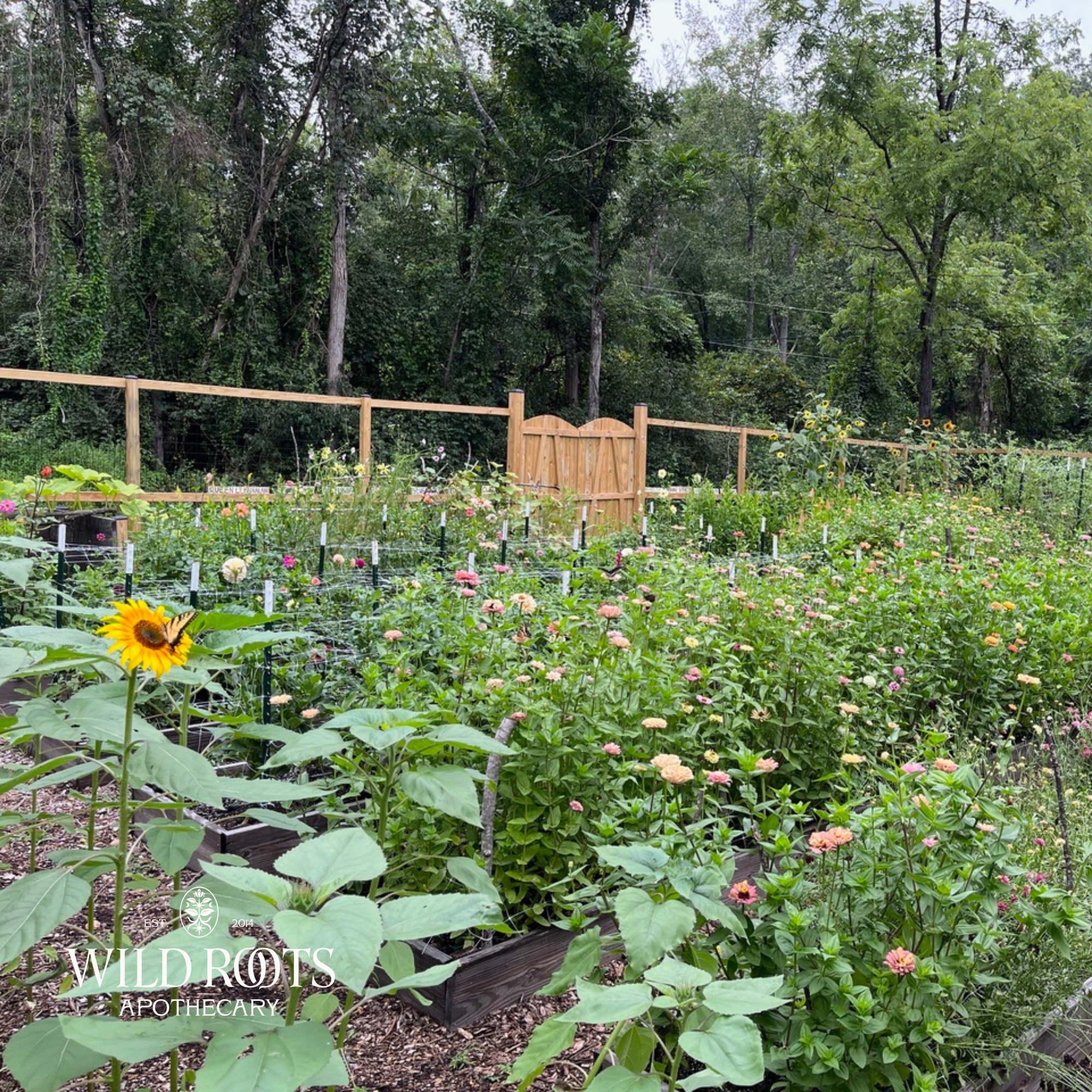 Spring Market Garden Tour with Man of the Flower