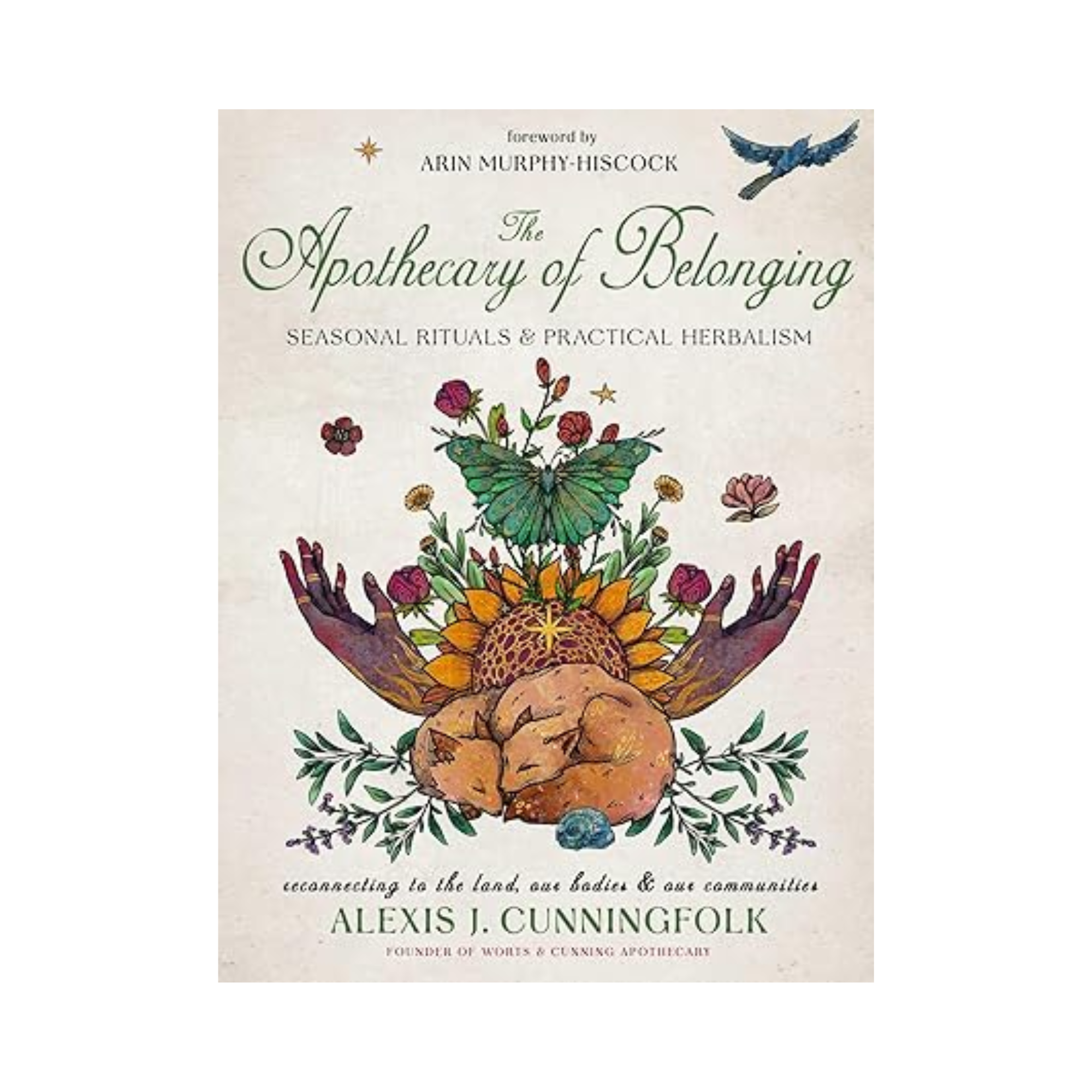 The Apothecary of Belonging
