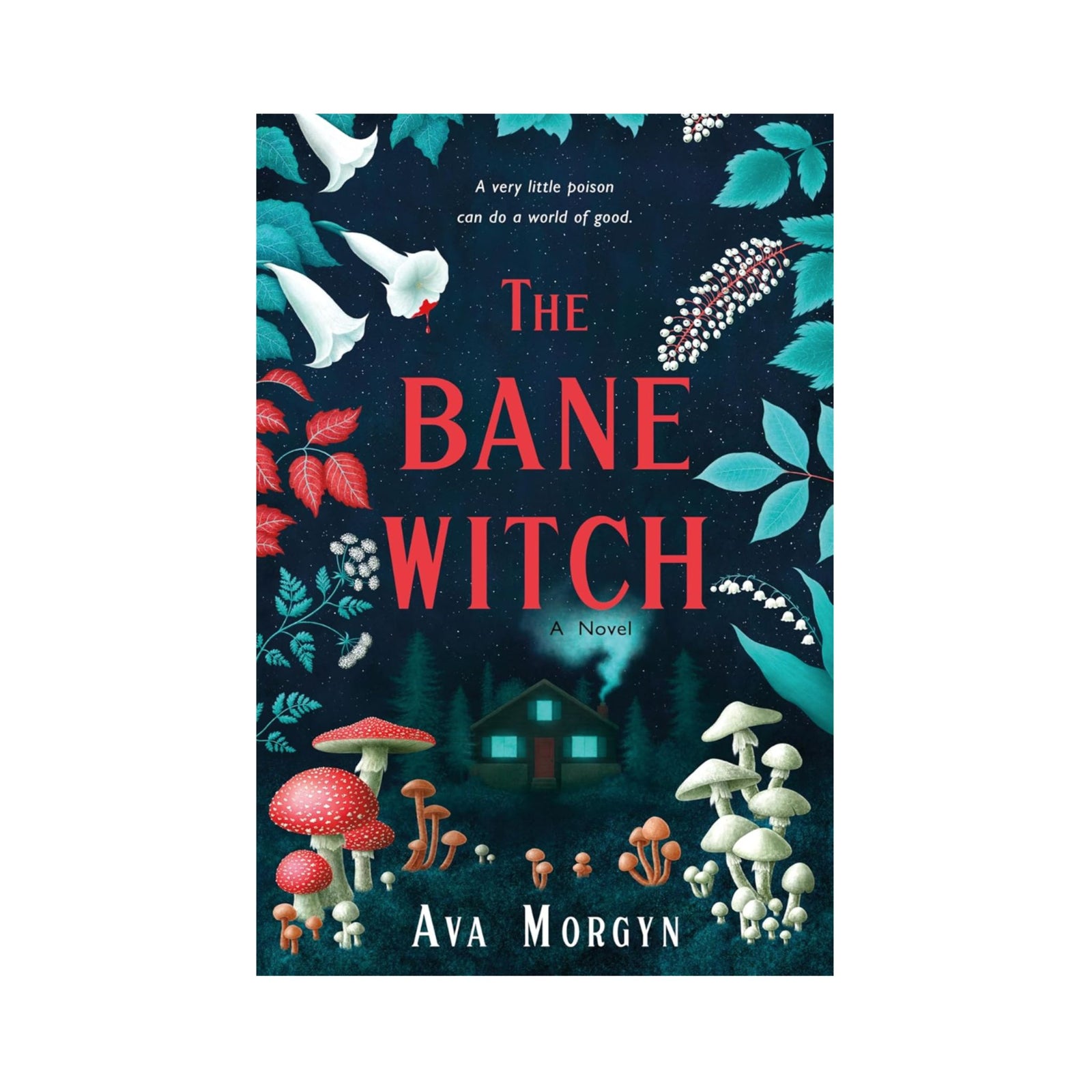 The Bane Witch by Ava Morgyn