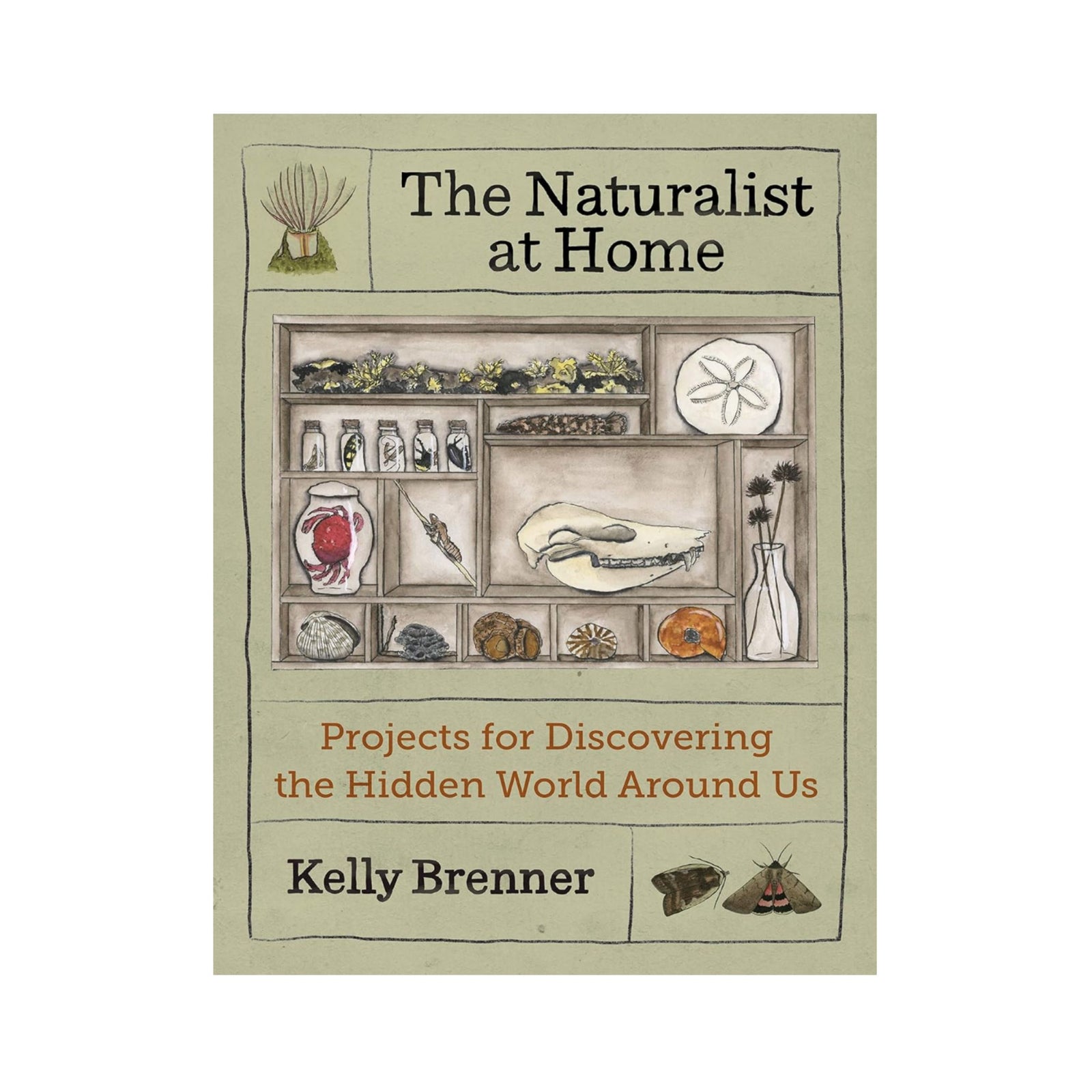 The Naturalist at Home by Kelly Brenner