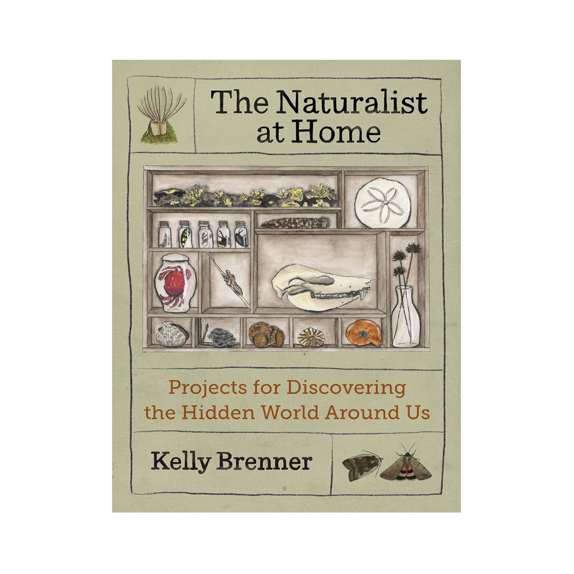 The Naturalist at Home by Kelly Brenner