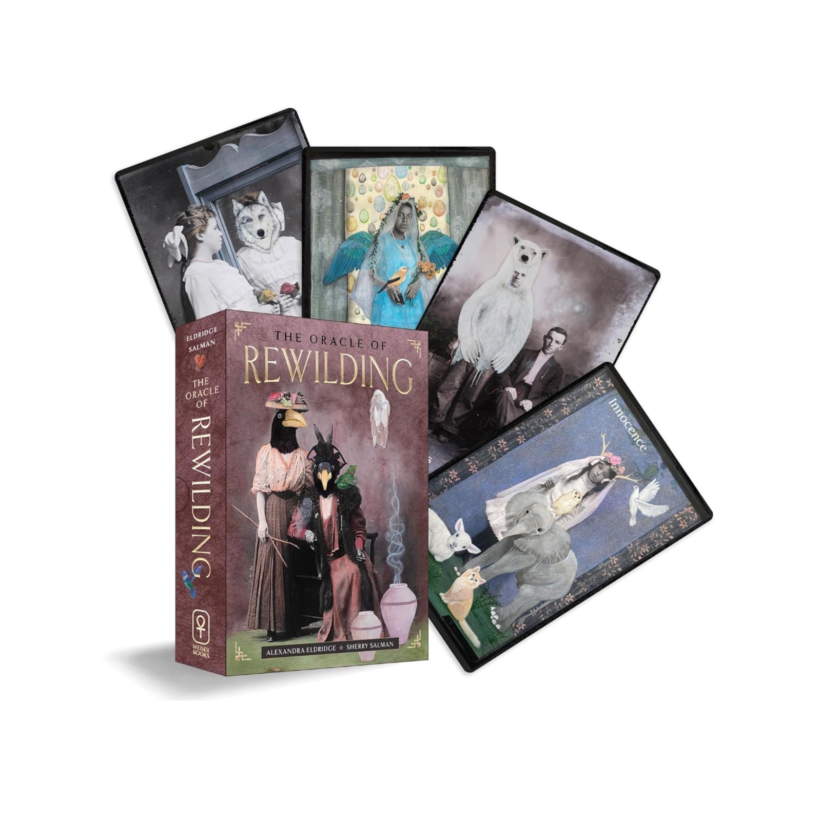 The Oracle of Rewilding