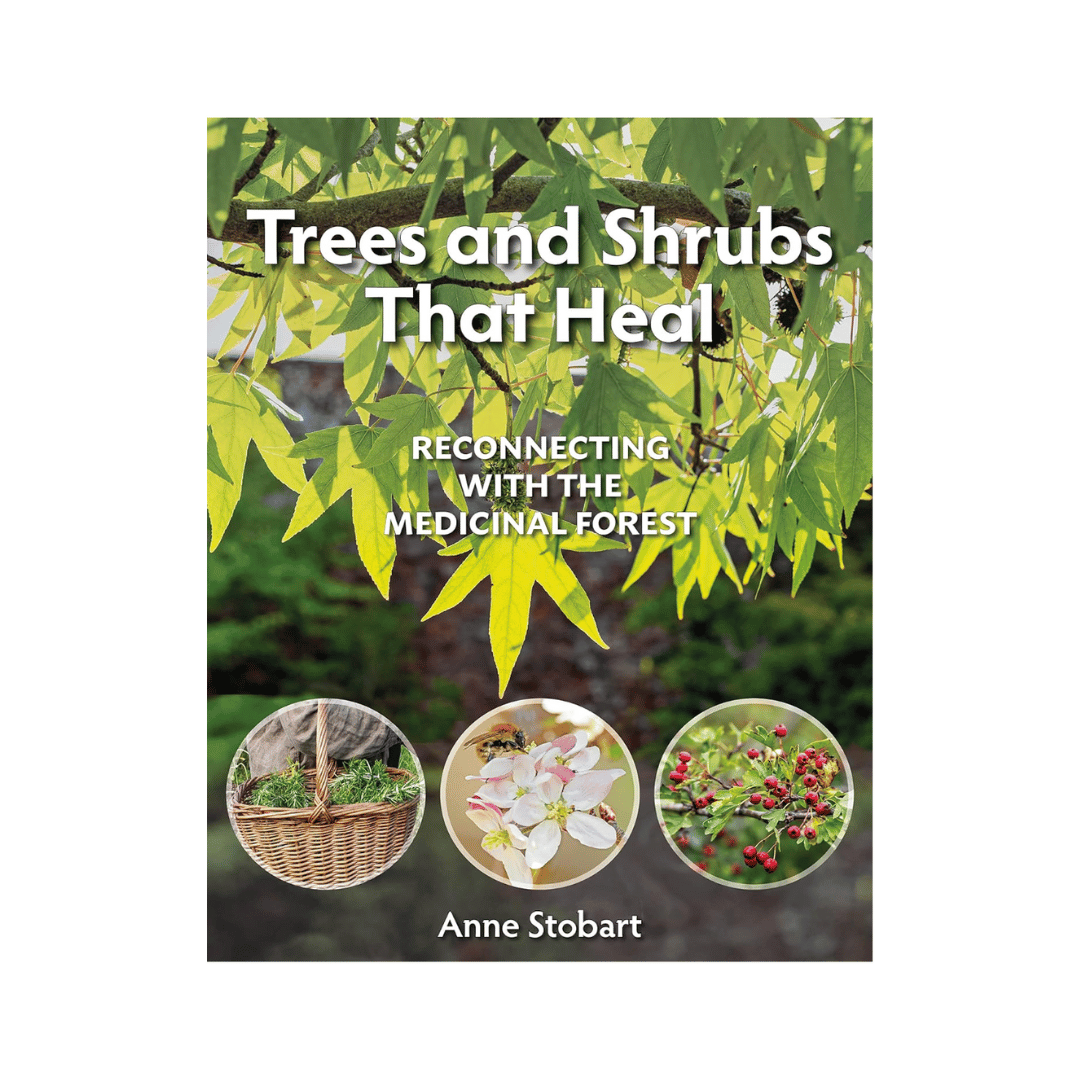 Reconnecting Tree Trees and Shrubs that Heal: Recconecting with the Medicinal Forest ...