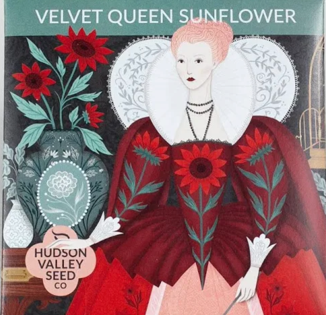Velvet Queen Sunflower Seeds