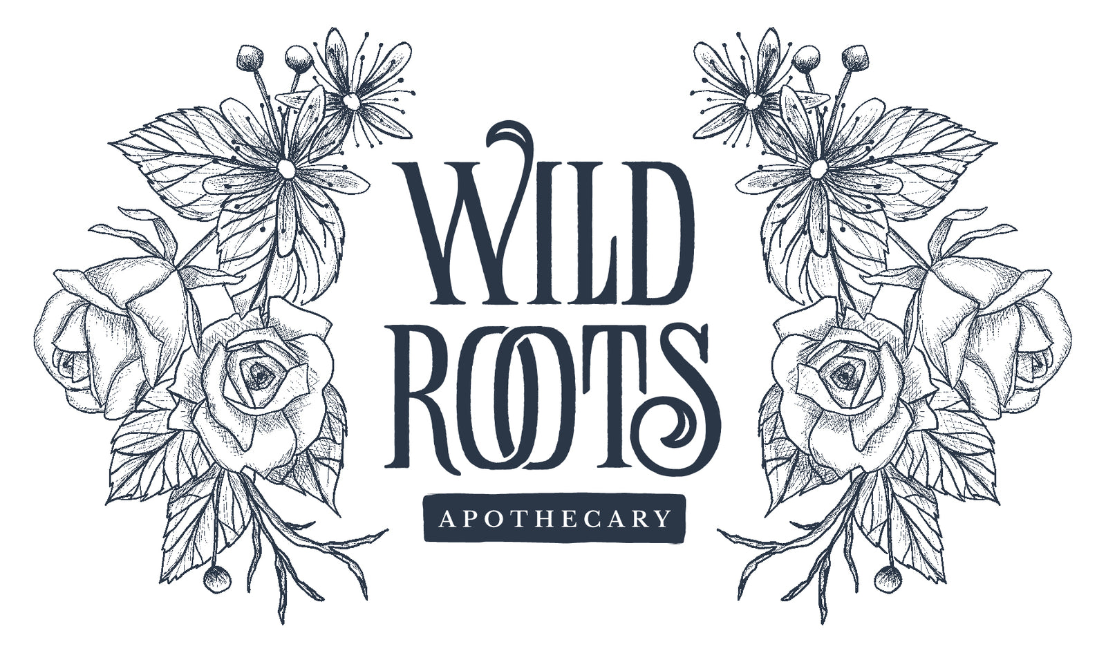 Alkanet Root - Wild Roots Apothecary