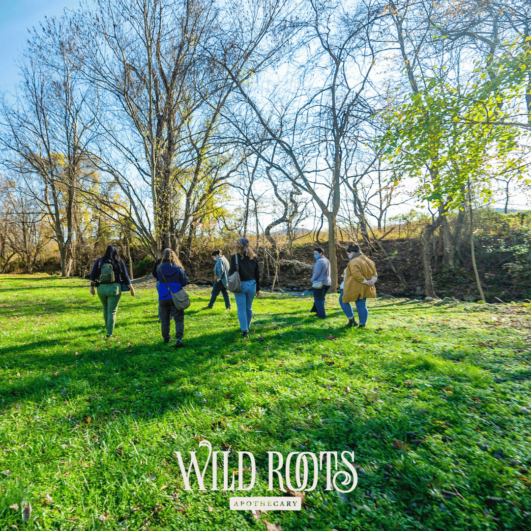 2025 Wild &amp; Weedy: Plant ID &amp; Nature Walk