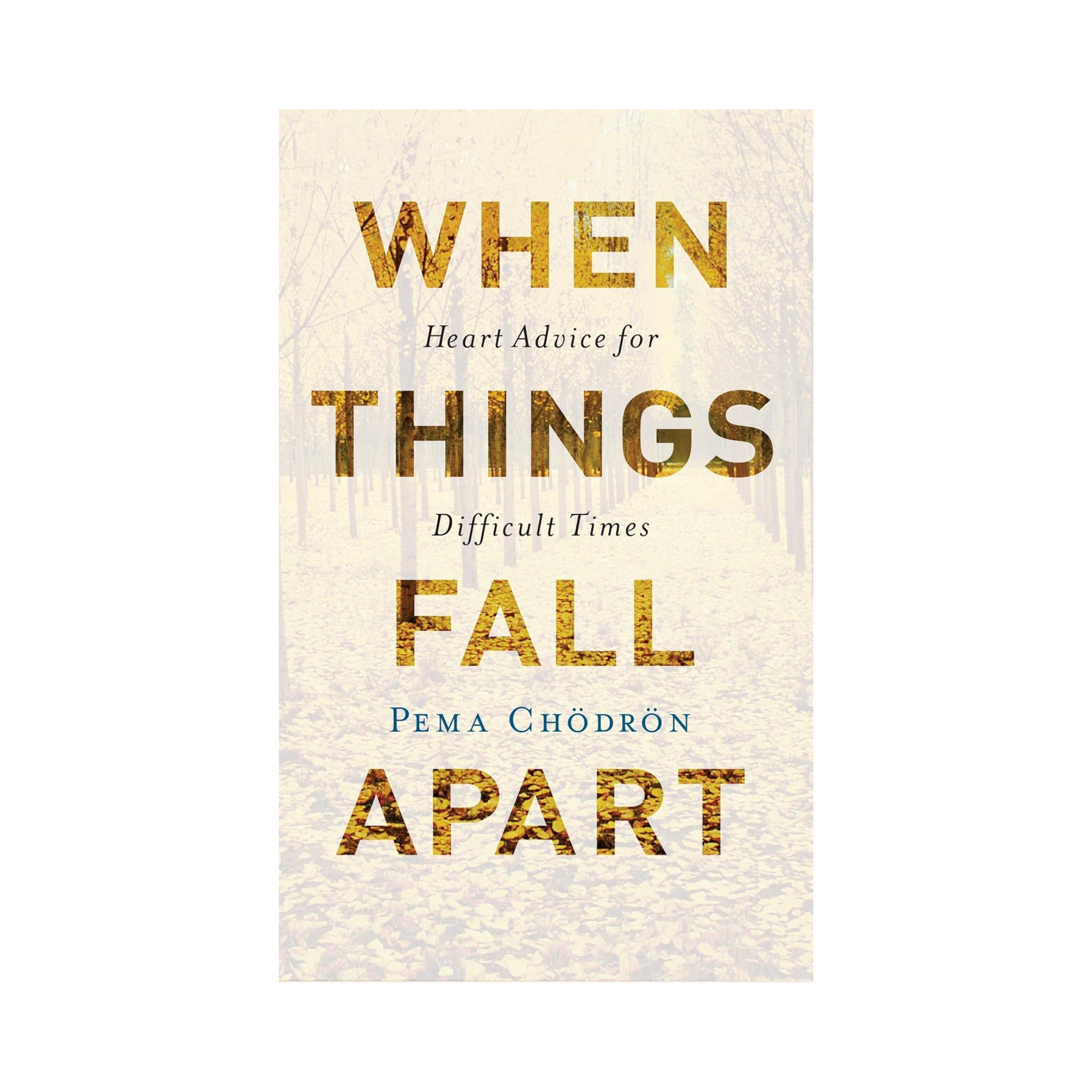 When_Things_Fall_Apart