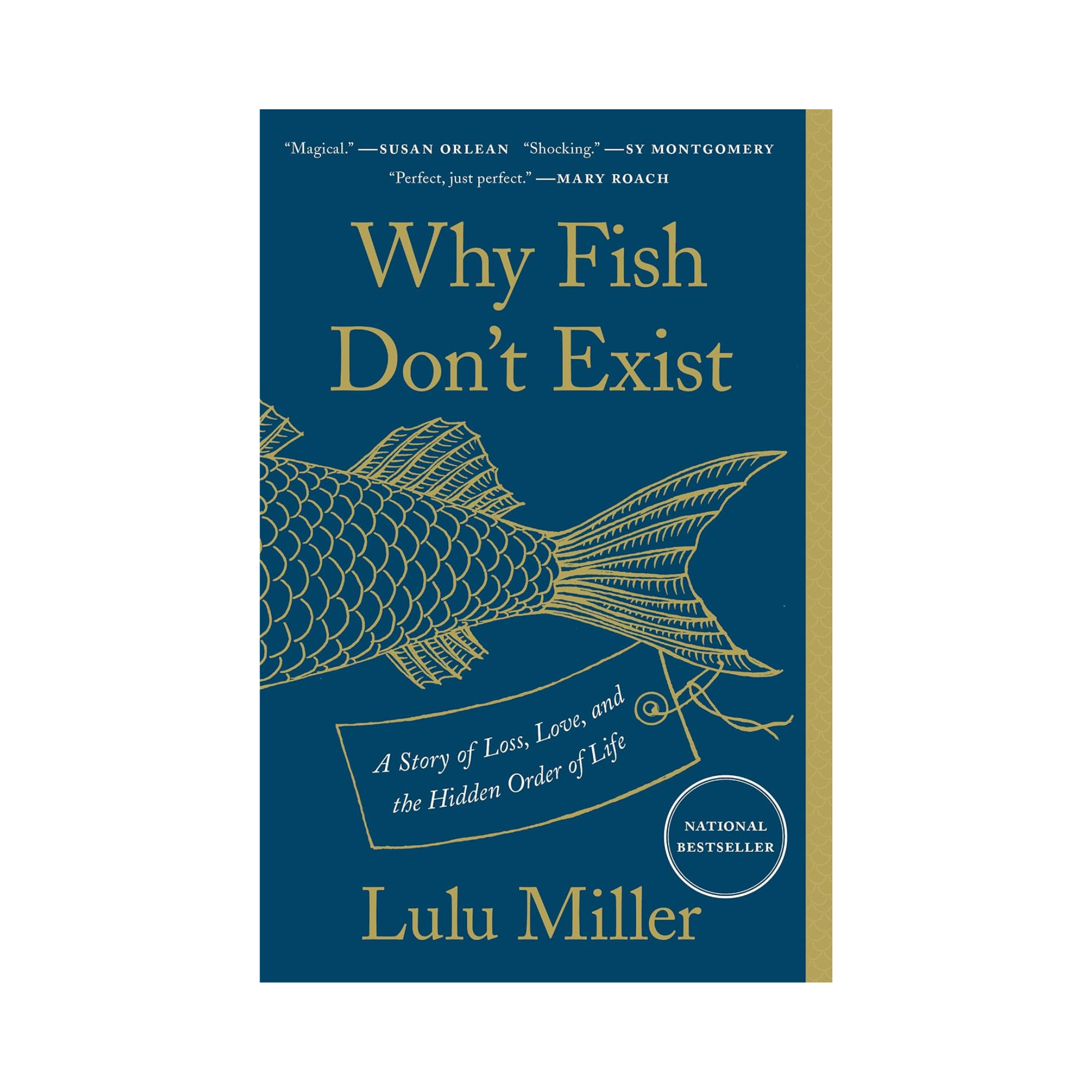 Why Fish Don't Exist